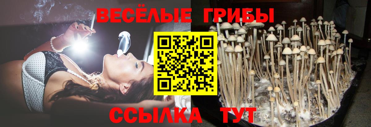 Псилоцибиновые грибы Гай